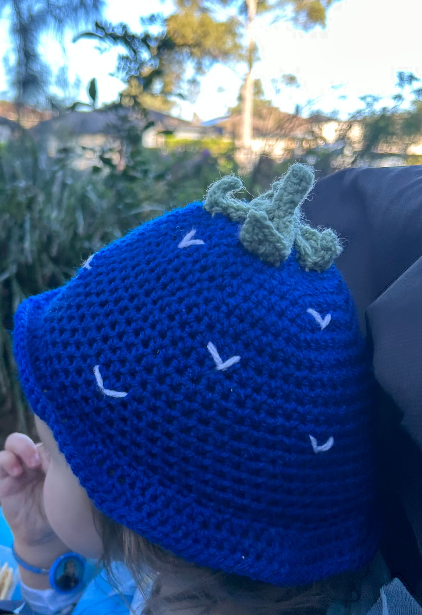 Blueberry bucket hat